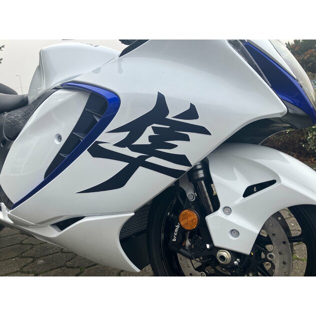 Suzuki gsx1300rrq hayabusa white - IMG_5593