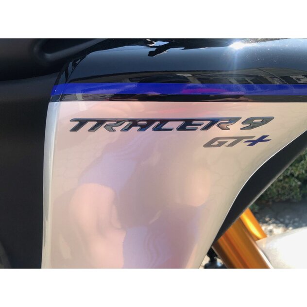 Yamaha tracer 9 gt + šedá - IMG_2871