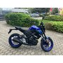 Yamaha mt125 modrá - IMG_5816