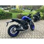 Yamaha mt125 modrá - IMG_5817