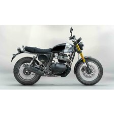 ROYAL ENFIELD BEAR 650  GOLDEN SHADOW