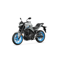 YAMAHA MT-03 ice storm
